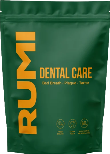 Dental powder