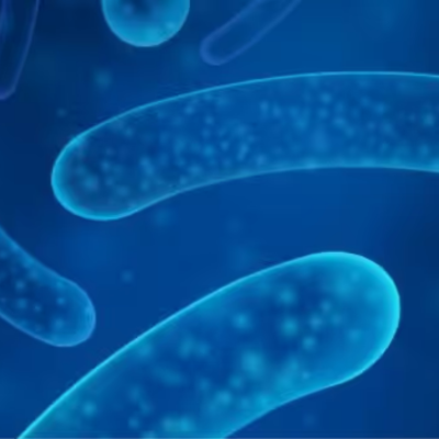 Prebiotics