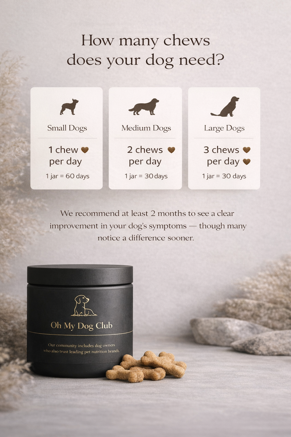 Hip & Joint Support Chews