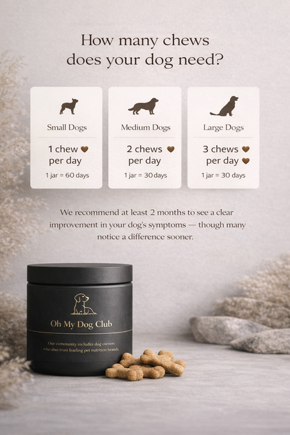 Hip & Joint Support Chews