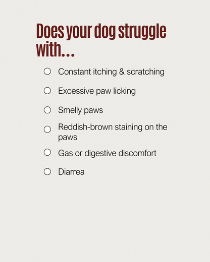 Gut & Digestion — Probiotic Soft Chews