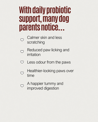 Gut & Digestion — Probiotic Soft Chews