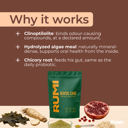 Dental Powder