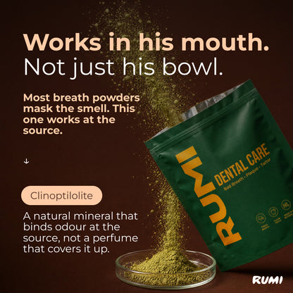 Dental Powder