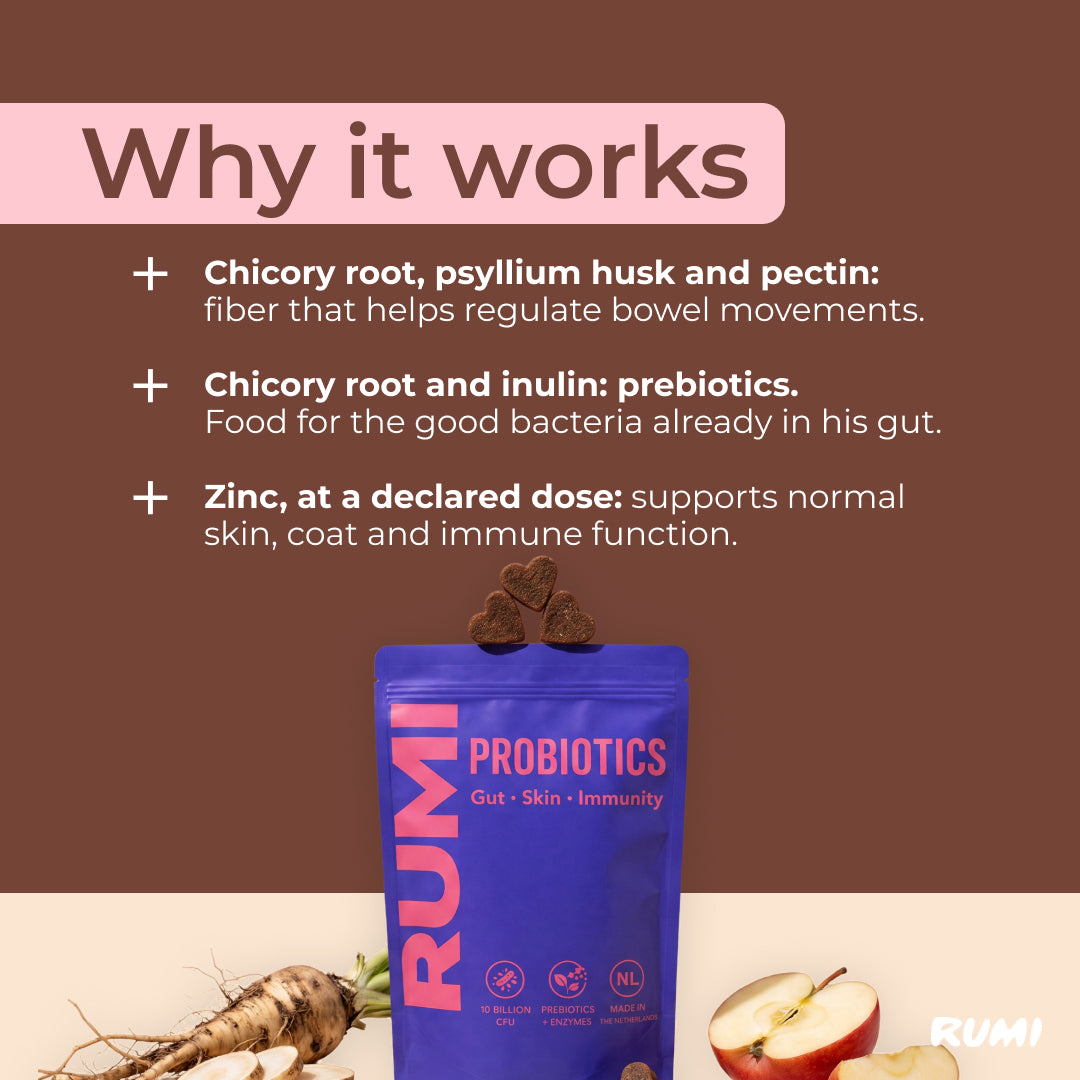 Probiotic Soft Chews
