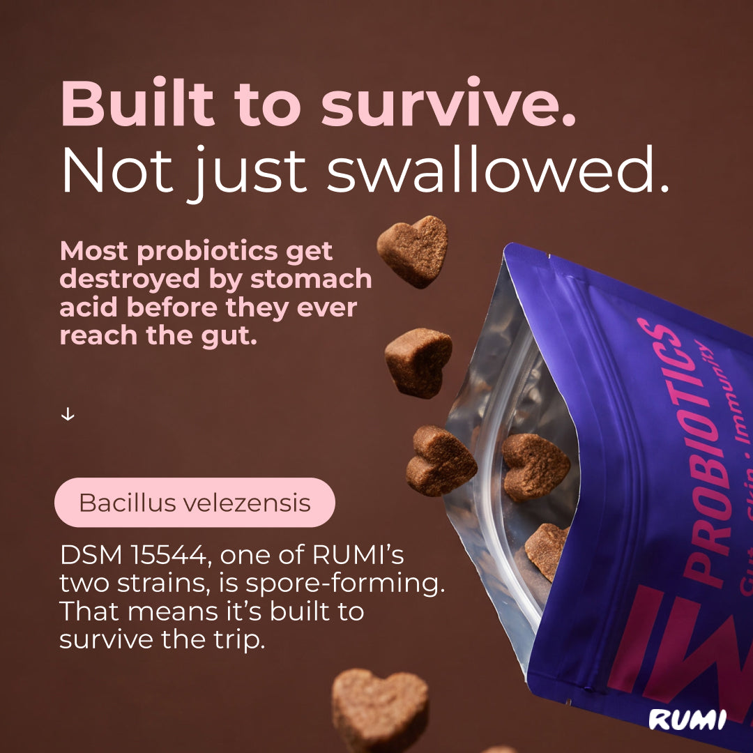 Probiotic Soft Chews