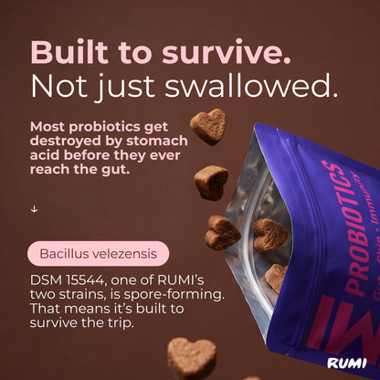 Probiotic Soft Chews