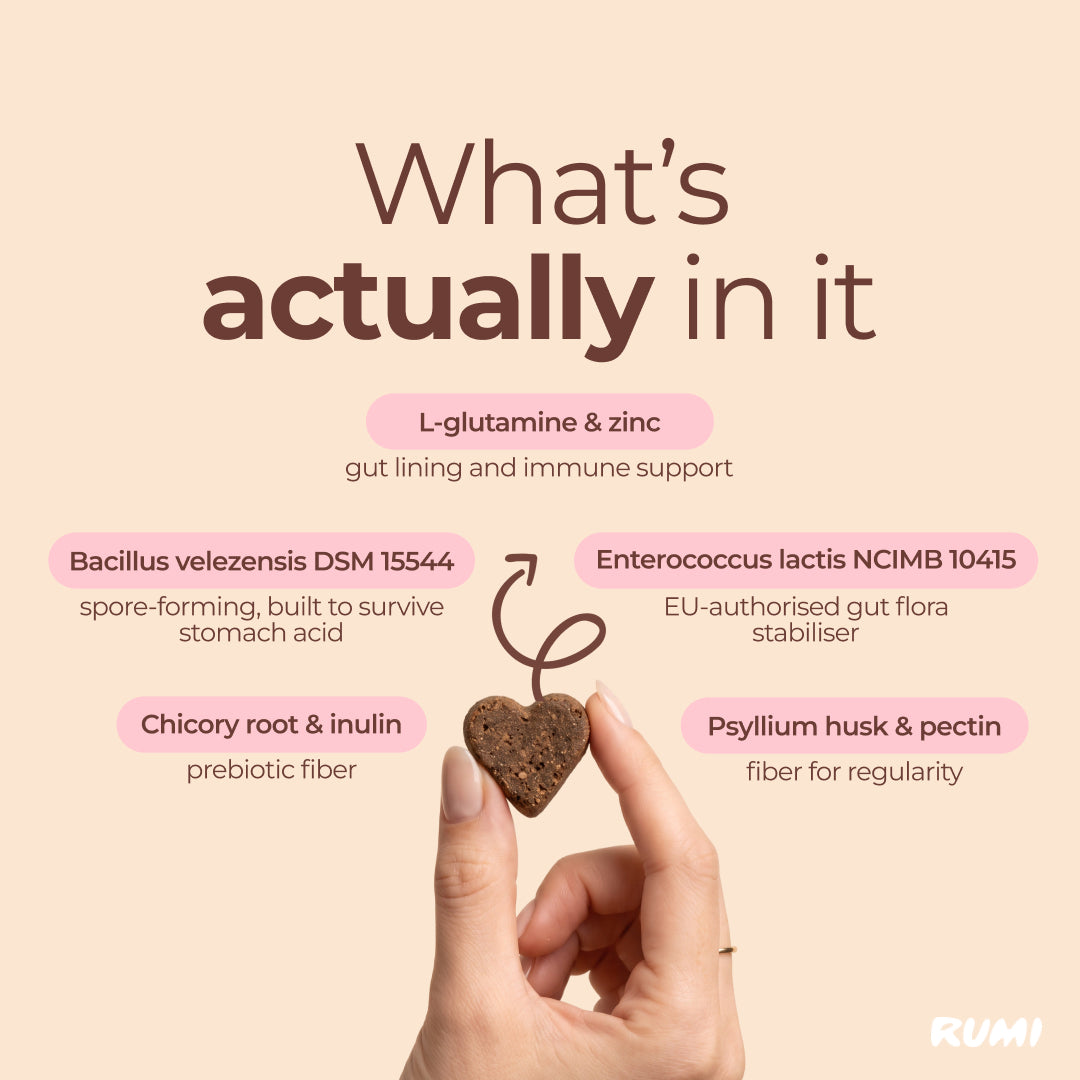 Probiotic Soft Chews